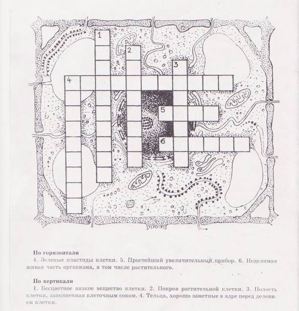 Изображение-1 003