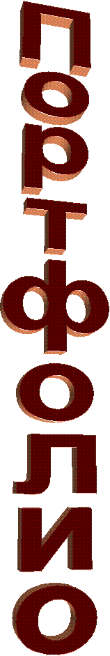 Портфолио