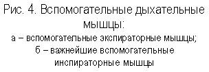 �������: