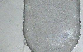 H:\I378.jpg
