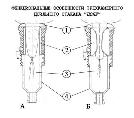 http://*****/images/Doyar_stakani%201.jpg