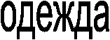 одежда