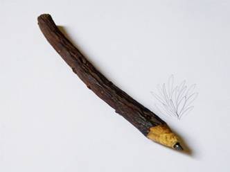 карандаш Matitizia