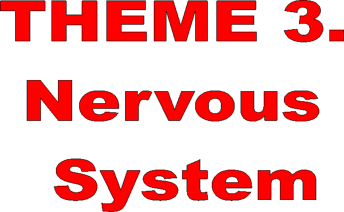 THEME