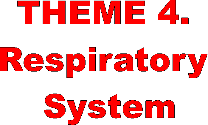 THEME