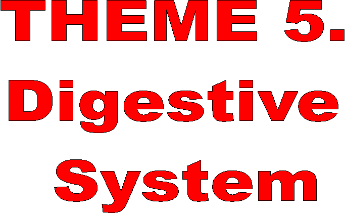 THEME