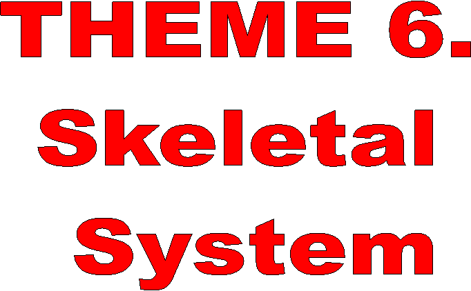 THEME