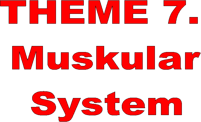 THEME