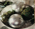 E:\13\course_files\456157f1-d9ac-11ddc0d95da\page_7_1.files\image013.gif