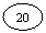 ����: 20