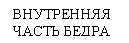 �������: