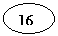 ����: 16