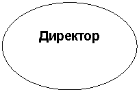Овал: Директор