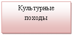 Блок-схема: процесс: Культурные походы