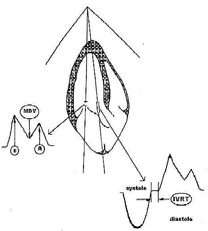 http://web.archive.org/web/im_/http:/*****/images/public/854_2.jpg