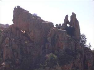 Piana