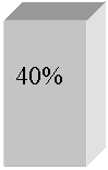 �������: 40%

