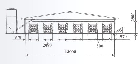 http://*****/images/kletka3.jpg