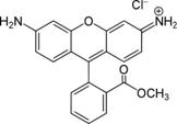 Rhodamine_123