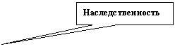 Прямоугольная выноска: Наследственность