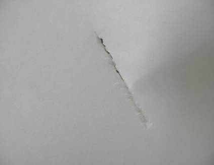 G:\������� ����� � �������� �����\������� �����\P3110680.JPG
