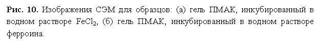 �������: