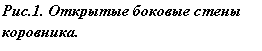�������: