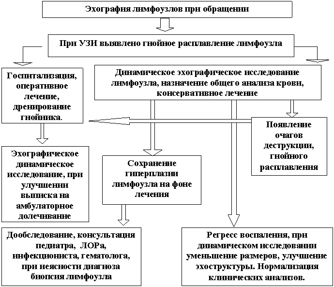 �������: