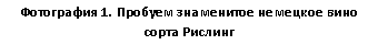 Подпись: