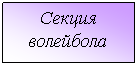 Подпись: Секция
волейбола