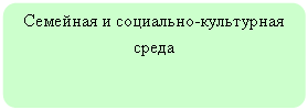 Блок-схема: альтернативный процесс: Семейная и социально-культурная среда