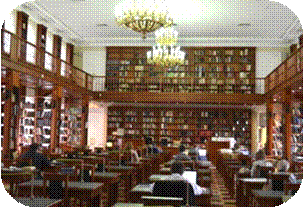 E:\���\DSC_0380.JPG