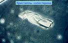 http://*****/kgmin/kg17min.jpg