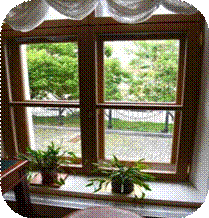 E:\���\DSC_0413.JPG