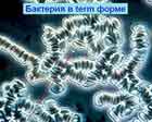 http://*****/kgmin/kg29min.jpg