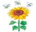http://im5-tub-ru.yandex.net/i?id=2-72&n=17