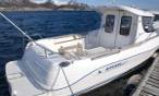 Arvor 215
