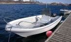 Silver Viking 18