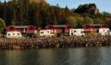 Cabin 4 persons