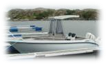 Kaasboll 115 b.JPG