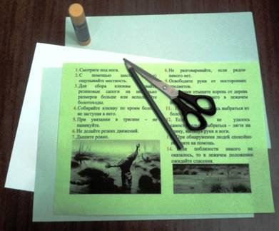 C:\Users\�������������\Pictures\_204319.jpg