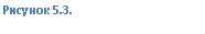 �������:
