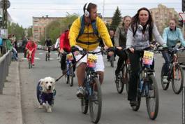 dog-and-caple.jpg