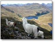 tmpc19TfB_html_m232e312e