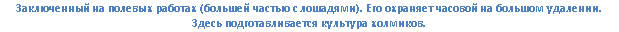 �������: