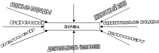 животный мир,грунтовые воды,горные породы,время,рельеф,деятельность человека,климат