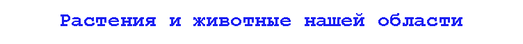 �������: