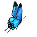 E:\куча\5ebeb31088bcb1a926e7566de5806468.gif