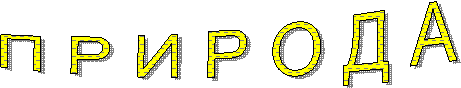 П