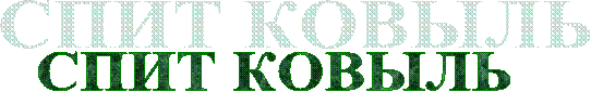 СПИТ КОВЫЛЬ